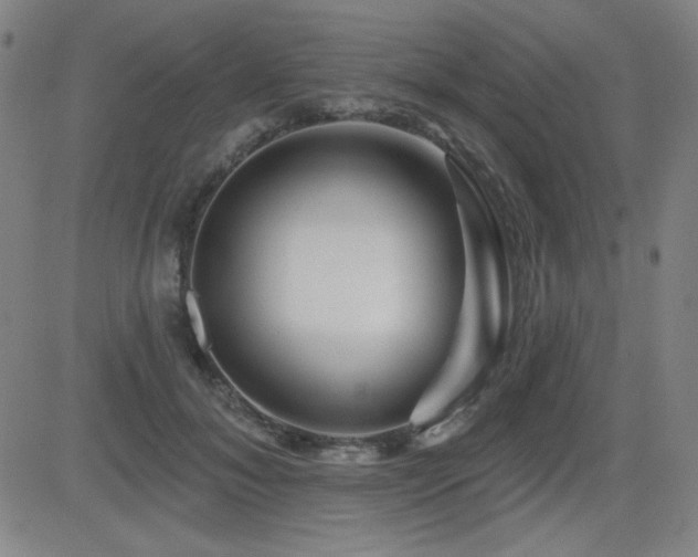 X0000083050700200702021218