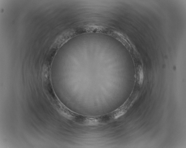 X0000083050701200702021218