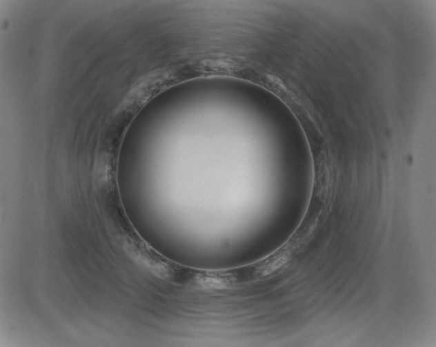 X0000083050706200702021218