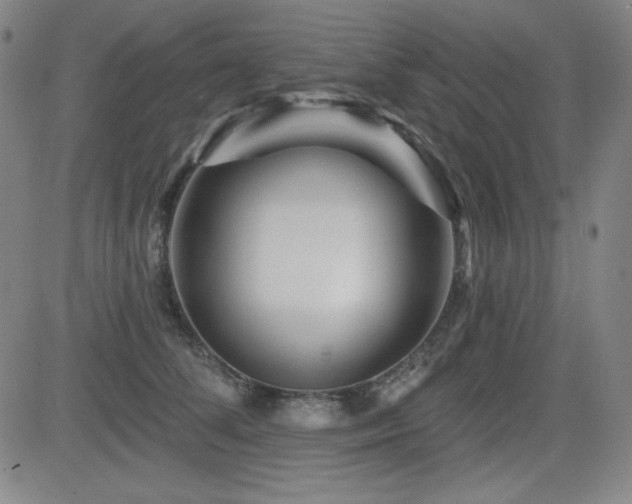 X0000083050708200702021218