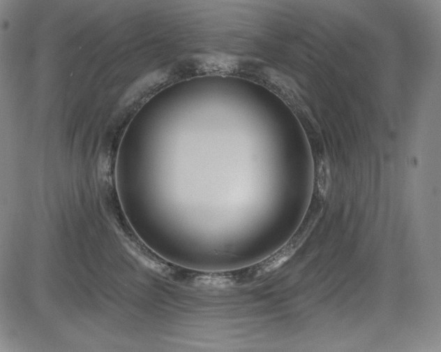 X0000083050714200702021218