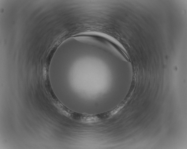 X0000083050716200702021218