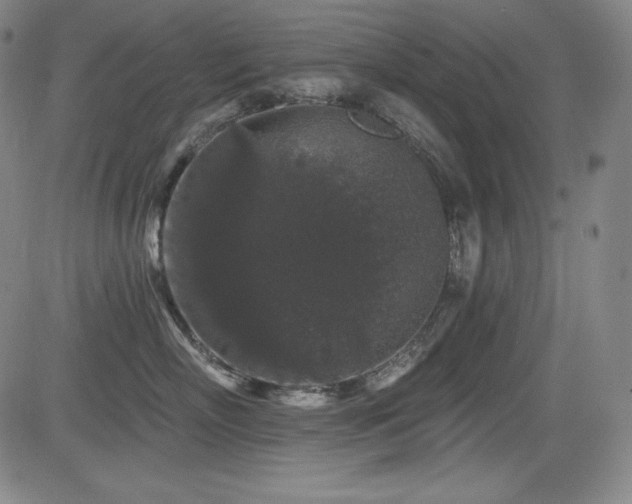 X0000083050718200702021218