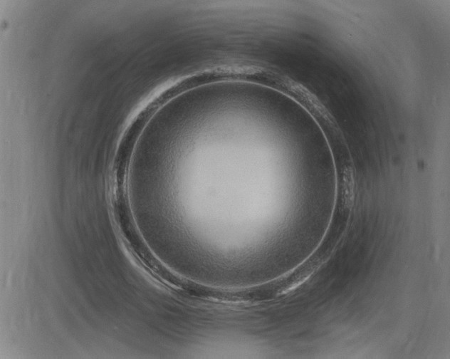 X0000083050726200702021217