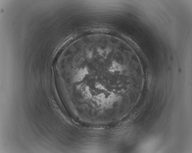 X0000083050729200702021217