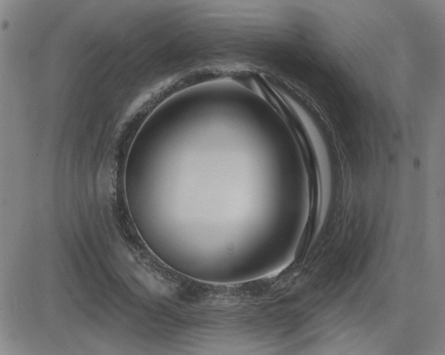 X0000083050732200702021217