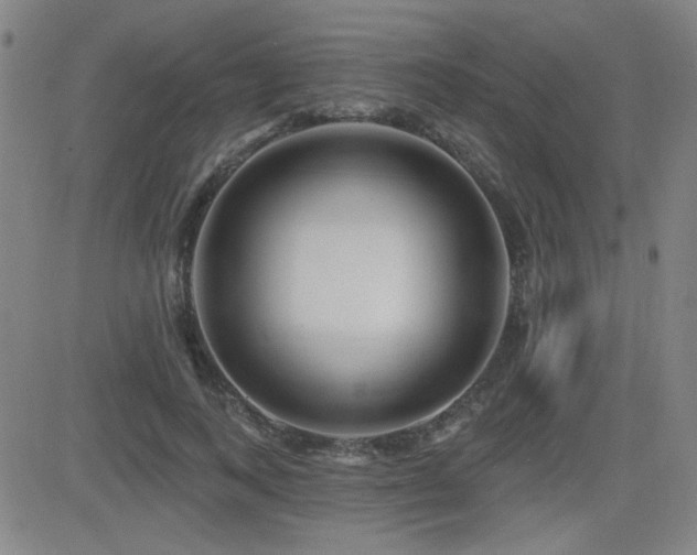 X0000083050743200702021218