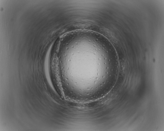 X0000083050745200702021218