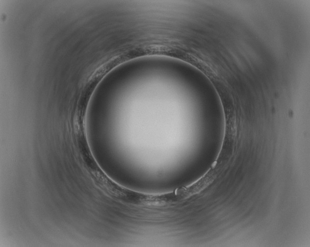 X0000083050746200702021218