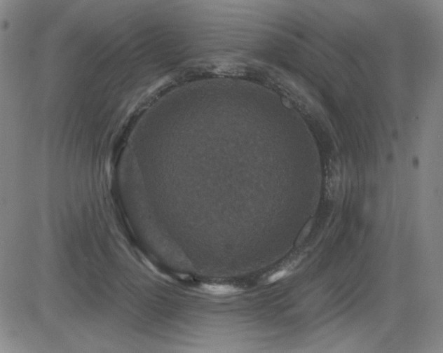X0000083050748200702021218