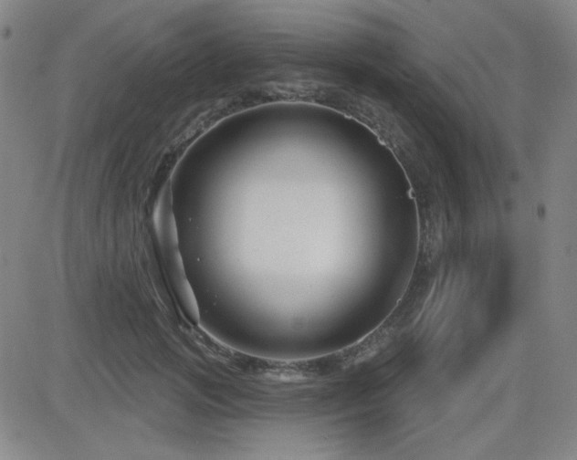 X0000083050749200702021218