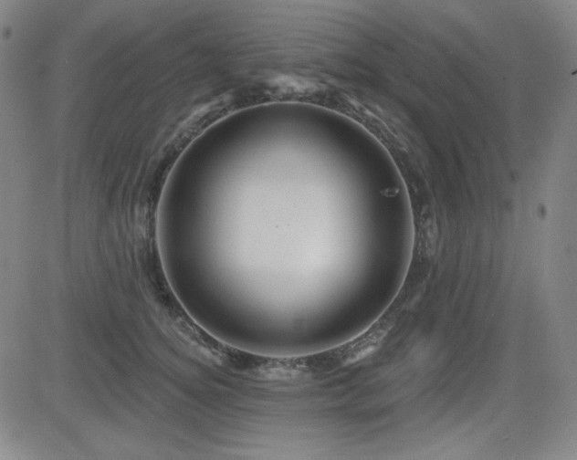 X0000083050756200702021218