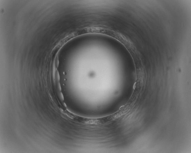 X0000083050761200702021218