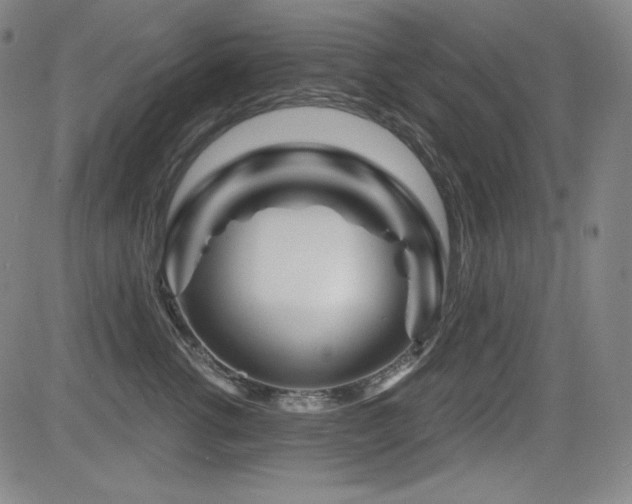X0000083050762200702021218