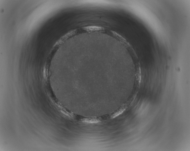 X0000083050763200702021218