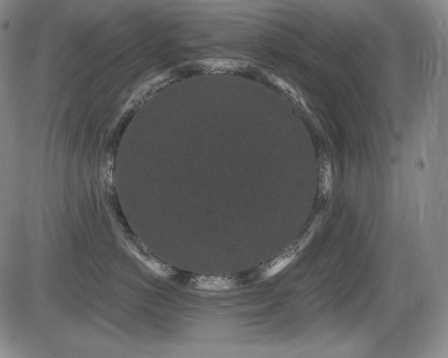 X0000083050766200702021218