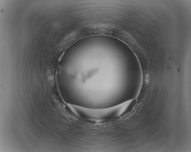 X0000083050771200702021217