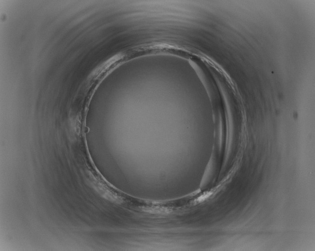 X0000083050785200702021217