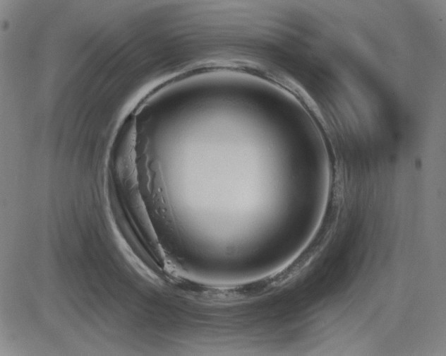 X0000083050795200702021217