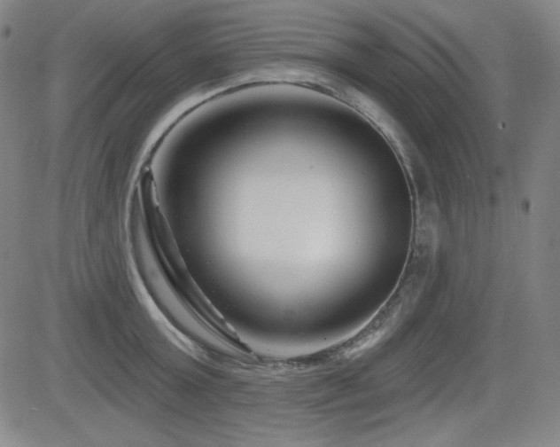 X0000083050803200702021217