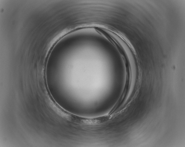 X0000083050805200702021217