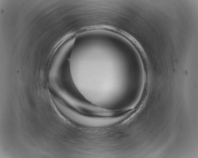 X0000083050809200702021217