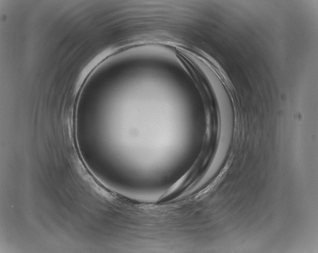 X0000083050812200702021217