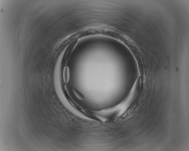 X0000083050822200702021216
