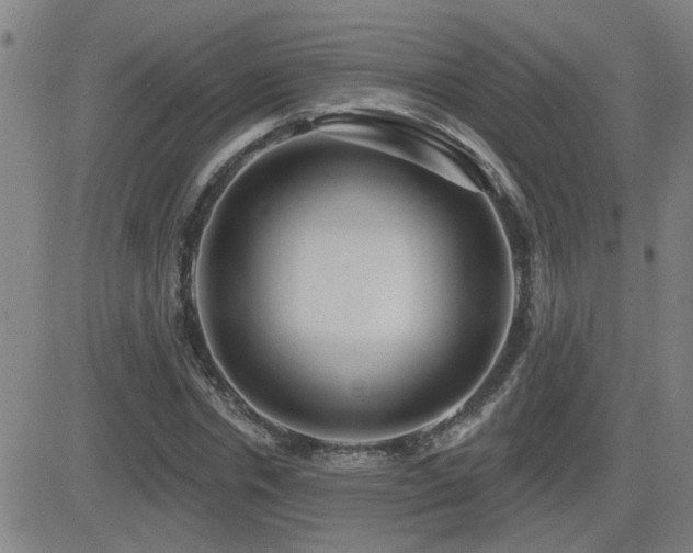 X0000083050826200702021216