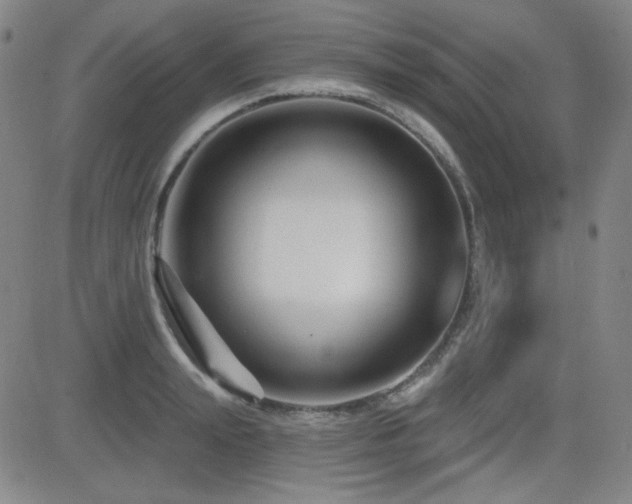 X0000083050847200702021216