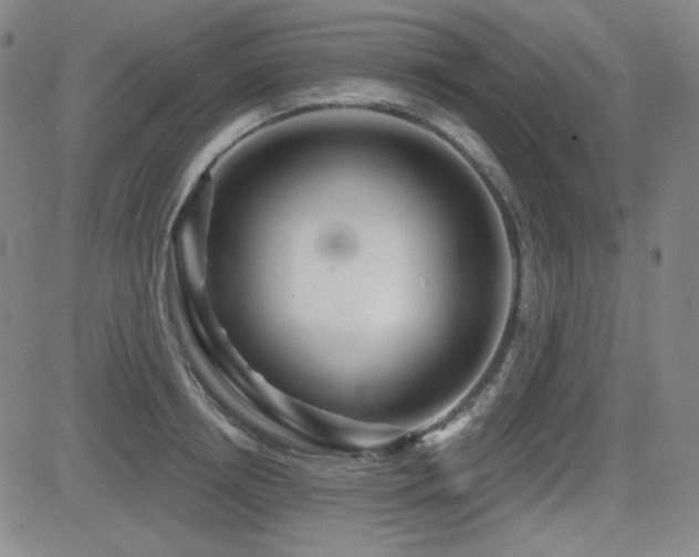 X0000083050850200702021216