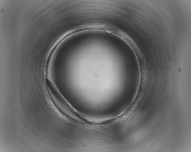 X0000083050852200702021216