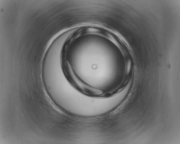 X0000083050854200702021216