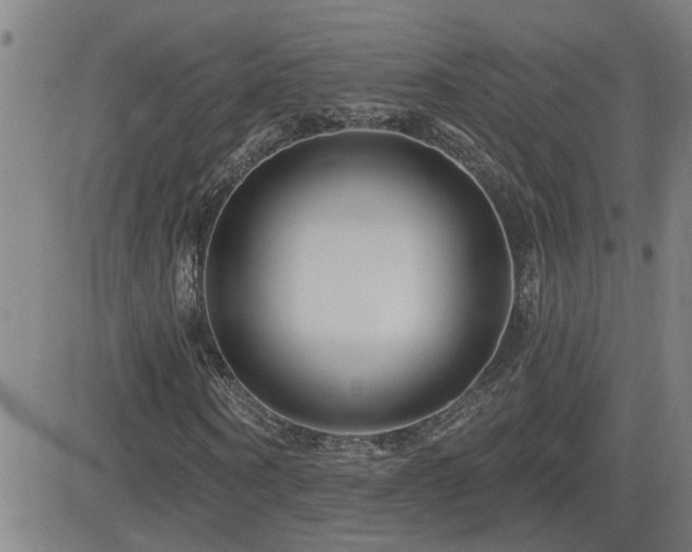 X0000083050866200702021216
