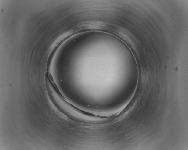 X0000083050938200702021215