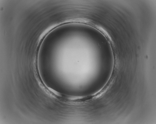 X0000083050952200702021215