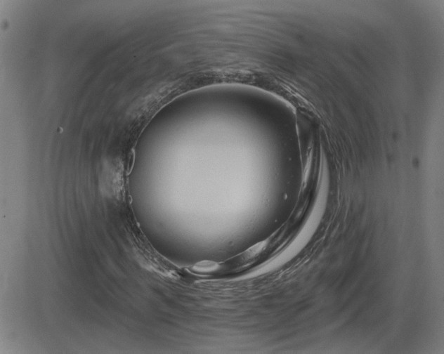 X0000083050963200702021214