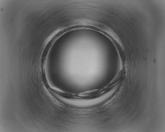 X0000083050972200702021214
