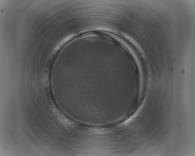 X0000083050977200702021214