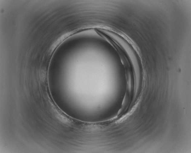 X0000083050993200702021214