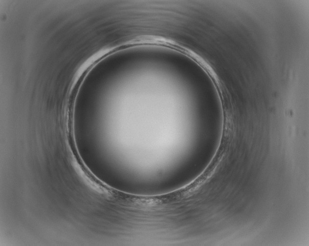 X0000083051003200702021213