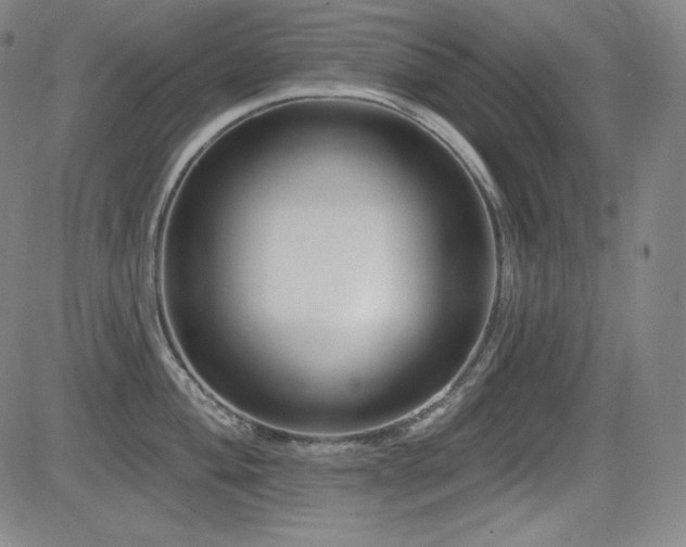 X0000083051004200702021213