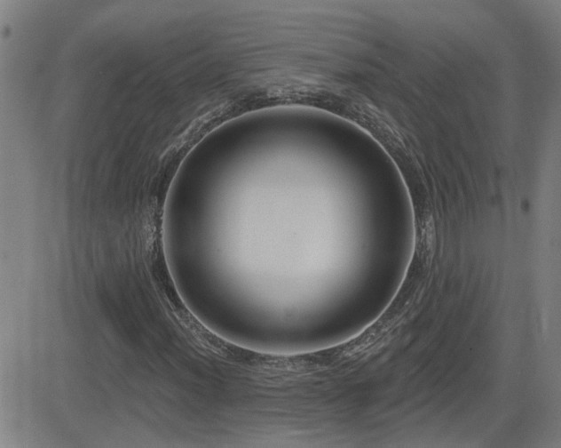 X0000083051012200702021213