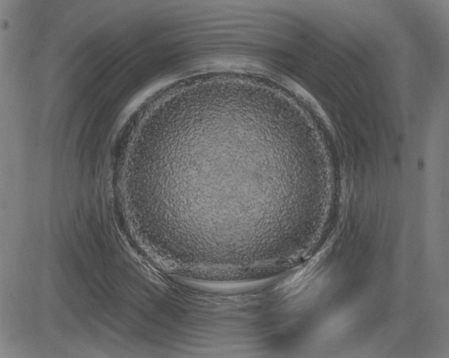X0000083051019200702021213
