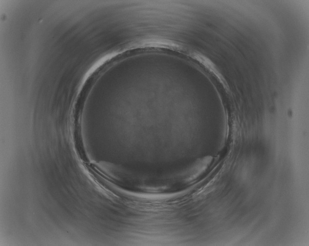 X0000083051024200702021213