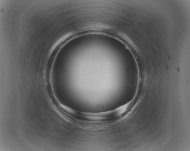X0000083051026200702021213