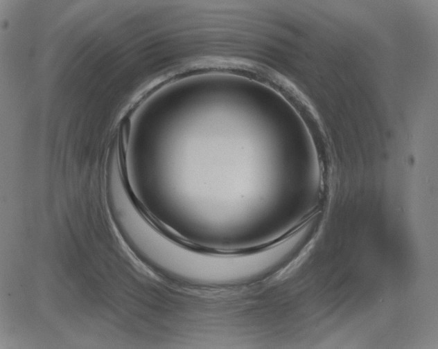 X0000083051033200702021213