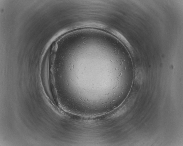X0000083051043200702021213