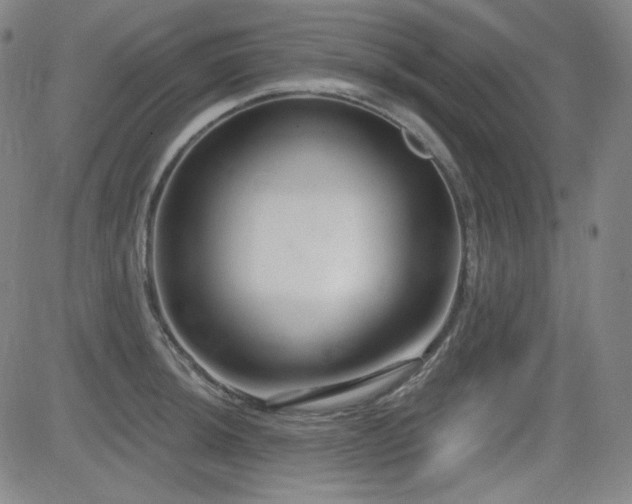 X0000083051044200702021213