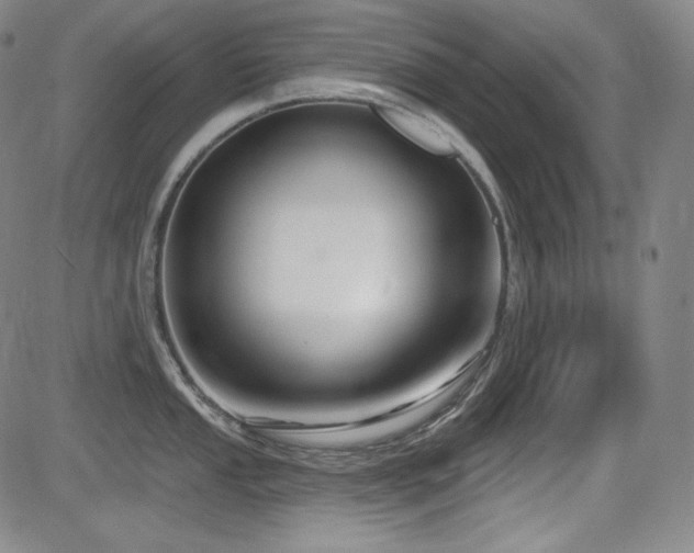 X0000083051053200702021213